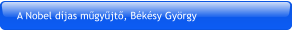 A Nobel díjas műgyűjtő, Békésy György